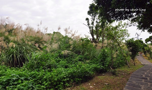 太平濱海步道-6.JPG - 2016秋之豔