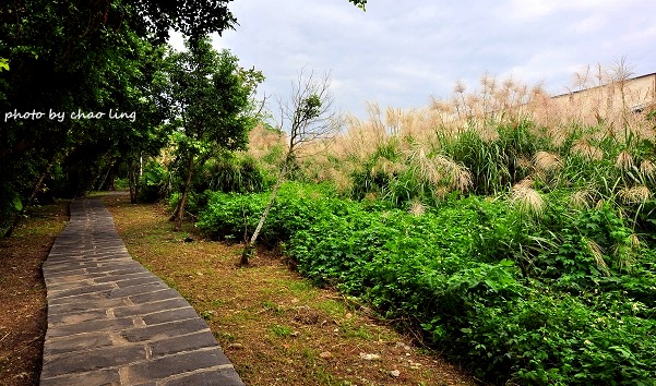 太平濱海步道-7.JPG - 2016秋之豔