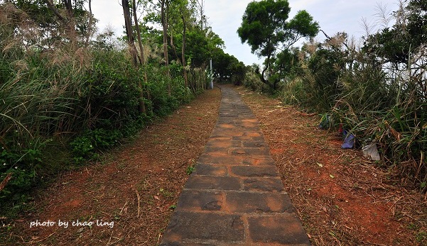 太平濱海步道-14.JPG - 2016秋之豔
