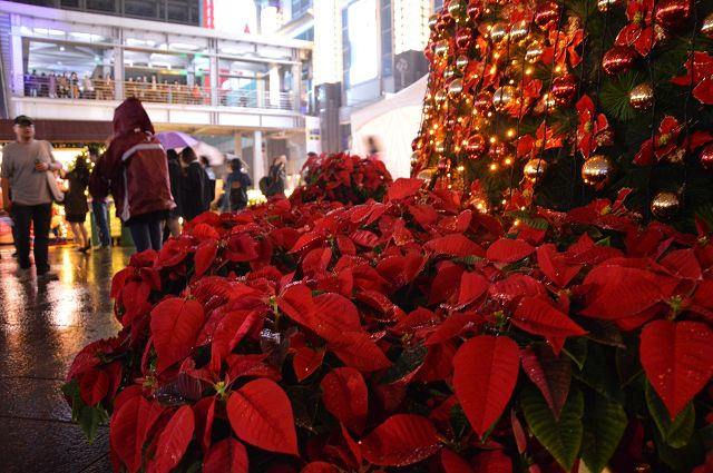 台北101耶誕市集43