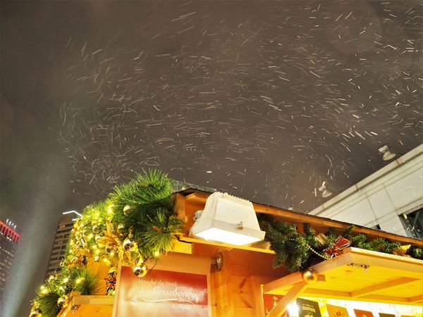 法國史特拉斯堡耶誕市集44.JPG