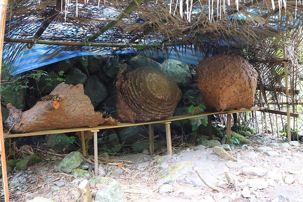 泰安戀情溫泉民宿：【苗栗旅遊】泰安戀情溫泉民宿~神畫峽谷生態主題遊樂區，感受大自然鬼斧神工的力量，以及酋長宴的美味佳餚