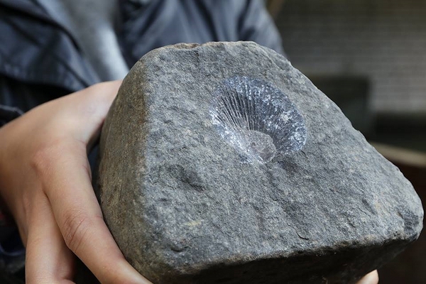 泰安戀情溫泉民宿：【苗栗旅遊】泰安戀情溫泉民宿~神畫峽谷生態主題遊樂區，感受大自然鬼斧神工的力量，以及酋長宴的美味佳餚