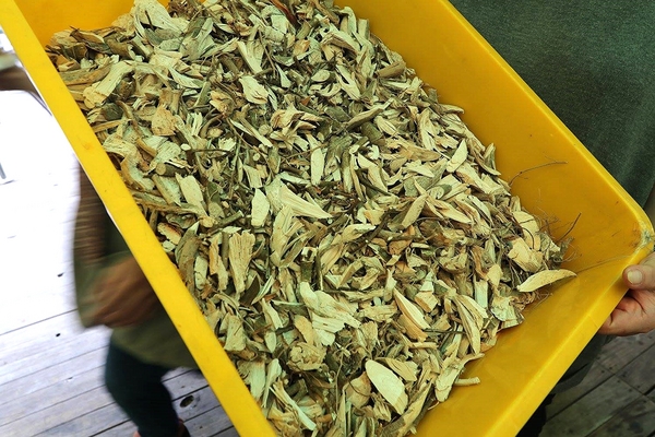 泰安戀情溫泉民宿：【苗栗旅遊】泰安戀情溫泉民宿~神畫峽谷生態主題遊樂區，感受大自然鬼斧神工的力量，以及酋長宴的美味佳餚