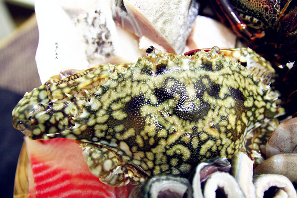 極好食:【宅配。鍋物】 樂天市場-極好食 貝里斯龍蝦鍋 傳說中的痛風鍋 特價海鮮火鍋組合