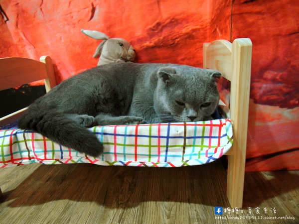 咕嚕貓咖啡(首席站前店):〖台中│美食〗咕嚕貓咖啡-首席站前店 ❤ 貓咪寵物餐廳推薦!!超可愛立體貓咪拉花,一貓、雙貓、三貓通通有~除了咖啡外,還有手作茶、甜點、義大利麵等餐點唷!【文末有優惠】