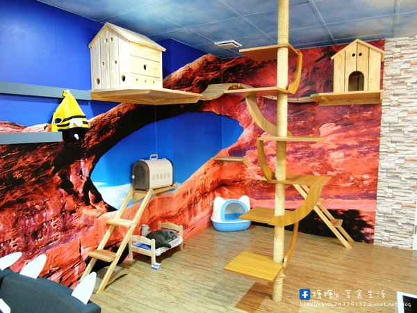 咕嚕貓咖啡(首席站前店):〖台中│美食〗咕嚕貓咖啡-首席站前店 ❤ 貓咪寵物餐廳推薦!!超可愛立體貓咪拉花,一貓、雙貓、三貓通通有~除了咖啡外,還有手作茶、甜點、義大利麵等餐點唷!【文末有優惠】