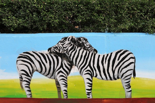 板橋永安公園動物彩繪牆：【新北市景點】搶先曝光!!板橋也有新的彩繪牆了耶~因為這個新的動物彩繪牆充滿逗趣，也讓永安公園更增添了熱鬧非凡的氣氛