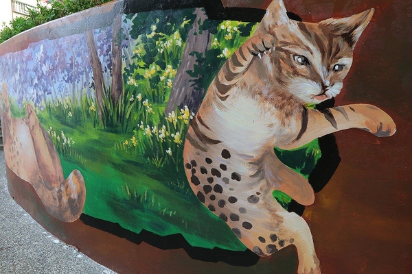 板橋永安公園動物彩繪牆：【新北市景點】搶先曝光!!板橋也有新的彩繪牆了耶~因為這個新的動物彩繪牆充滿逗趣，也讓永安公園更增添了熱鬧非凡的氣氛