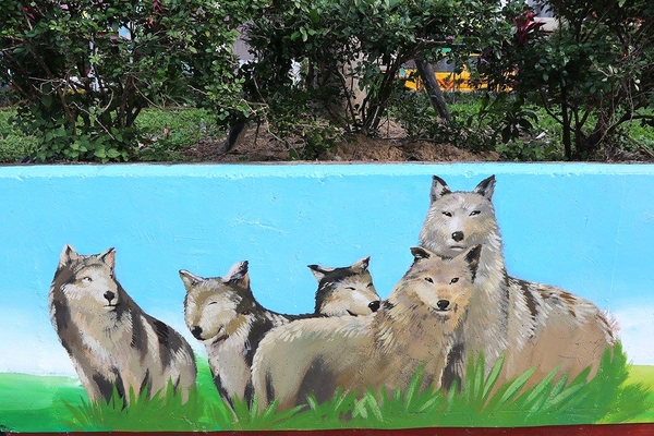 板橋永安公園動物彩繪牆：【新北市景點】搶先曝光!!板橋也有新的彩繪牆了耶~因為這個新的動物彩繪牆充滿逗趣，也讓永安公園更增添了熱鬧非凡的氣氛