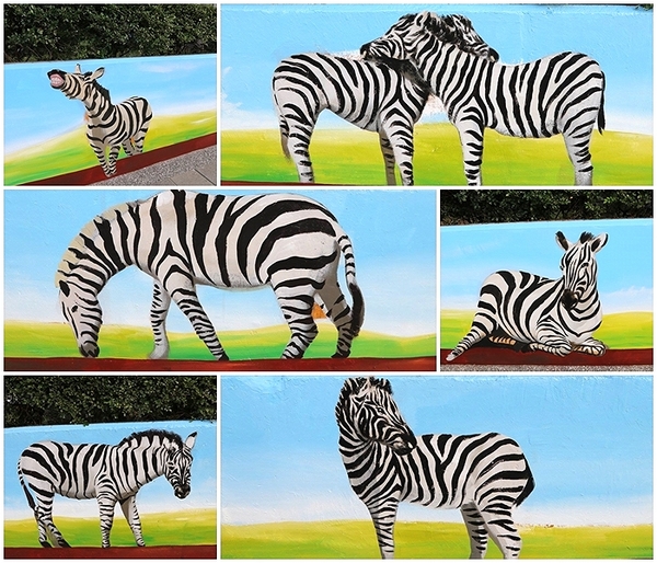 板橋永安公園動物彩繪牆：【新北市景點】搶先曝光!!板橋也有新的彩繪牆了耶~因為這個新的動物彩繪牆充滿逗趣，也讓永安公園更增添了熱鬧非凡的氣氛