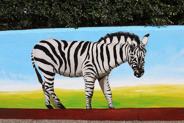 板橋永安公園動物彩繪牆：【新北市景點】搶先曝光!!板橋也有新的彩繪牆了耶~因為這個新的動物彩繪牆充滿逗趣，也讓永安公園更增添了熱鬧非凡的氣氛