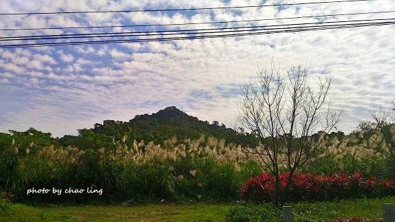 鶯歌幸福步道-59.jpg - 2016秋之豔