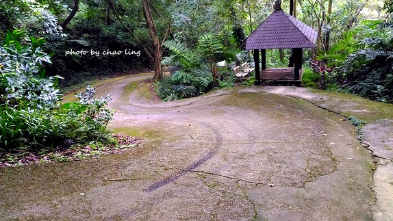 鶯歌幸福步道-51.jpg - 2016秋之豔