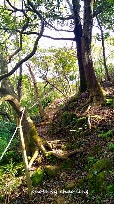 鶯歌幸福步道-11.jpg - 2016秋之豔