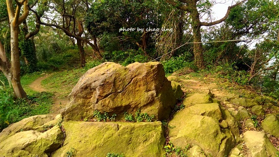 鶯歌幸福步道-42.jpg - 2016秋之豔