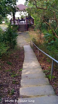 鶯歌幸福步道-46.jpg - 2016秋之豔