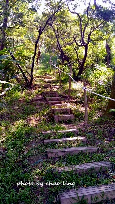 鶯歌幸福步道-6.jpg - 2016秋之豔