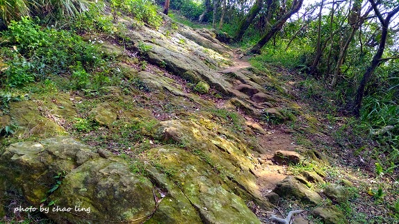 鶯歌幸福步道-41.jpg - 2016秋之豔