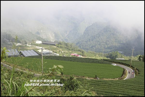 二延平步道33.JPG