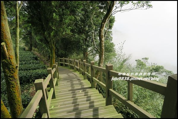 二延平步道44.JPG
