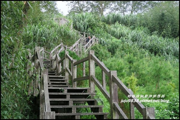 二延平步道58.JPG