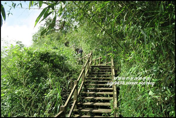 二延平步道42.JPG
