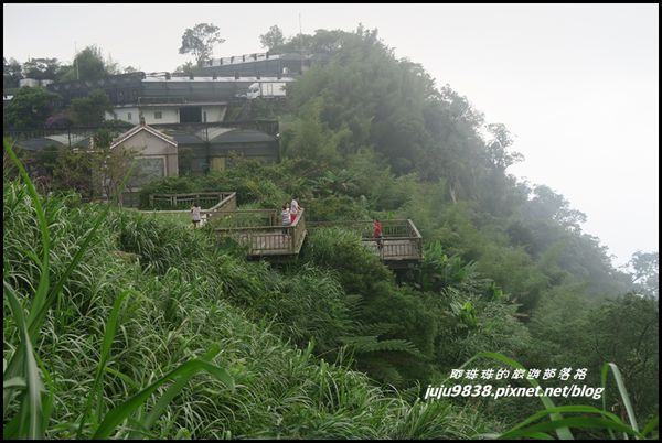二延平步道67.JPG