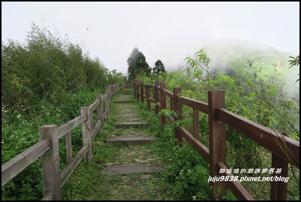 二延平步道49.JPG
