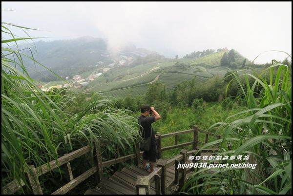 二延平步道65.JPG