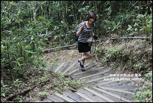 二延平步道12.JPG