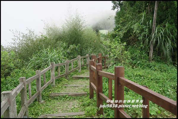 二延平步道50.JPG