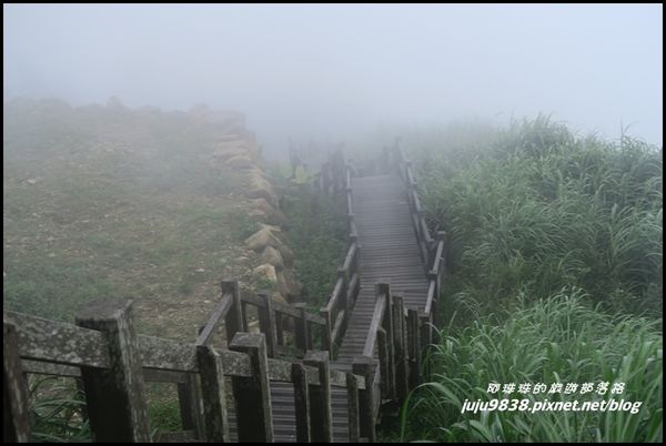 二延平步道63.JPG