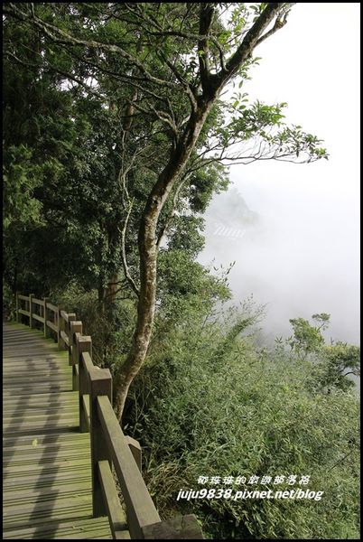 二延平步道16.JPG