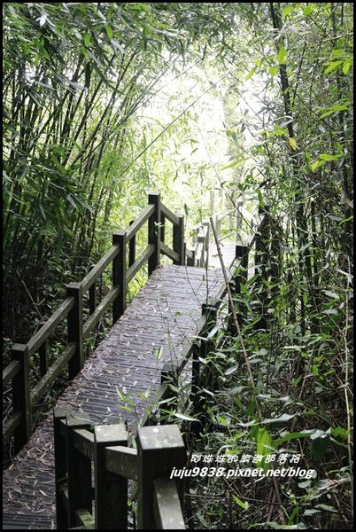 二延平步道28.JPG