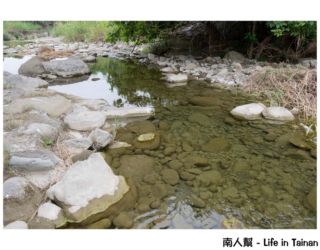 東香貓咖啡園區