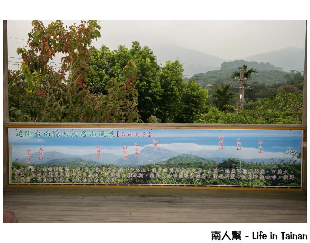 東香貓咖啡園區