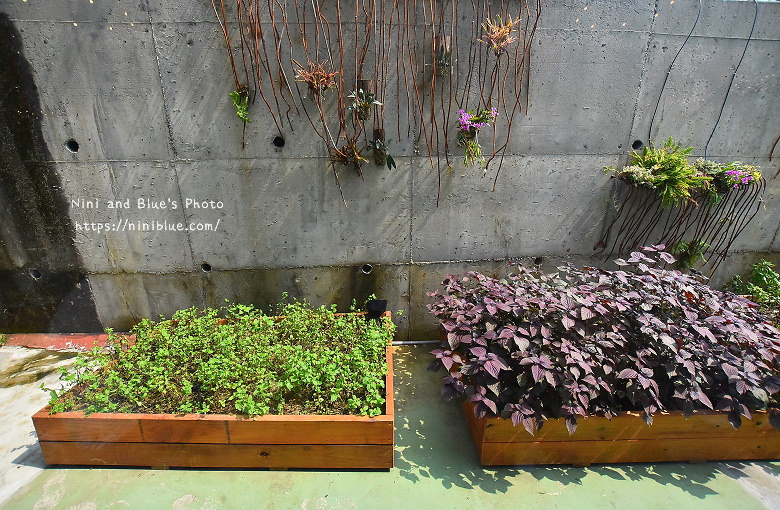 台中健康蔬食陶然左岸31