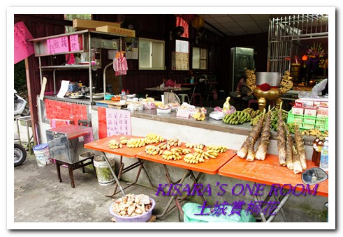 土城桐花公園：土城一日遊──承天禪寺、桐花公園