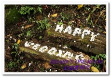 土城桐花公園：土城一日遊──承天禪寺、桐花公園