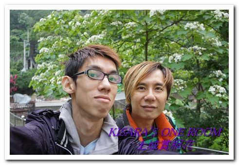 土城桐花公園：土城一日遊──承天禪寺、桐花公園