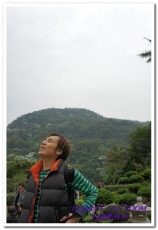 土城桐花公園：土城一日遊──承天禪寺、桐花公園