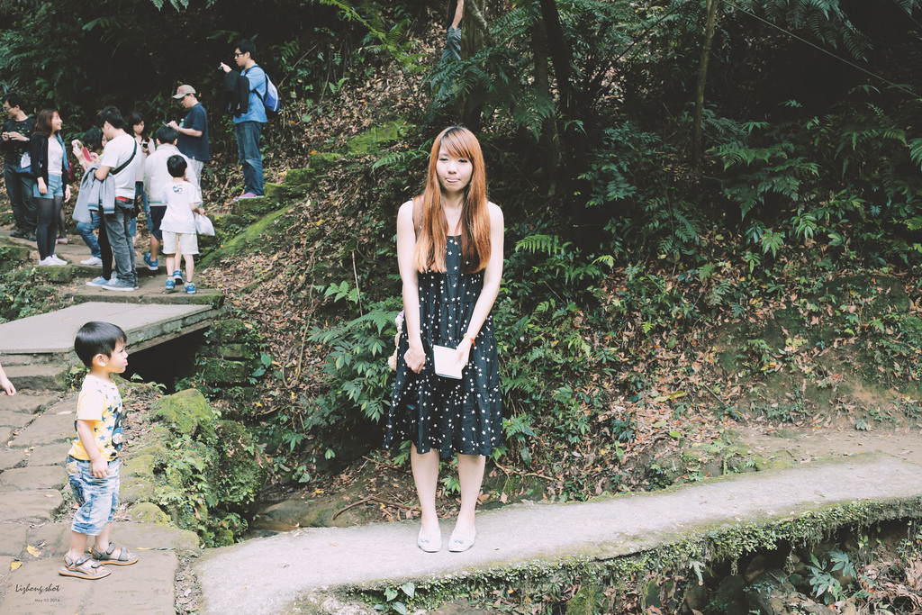 這淡淡的詩意襲上之桐花公園