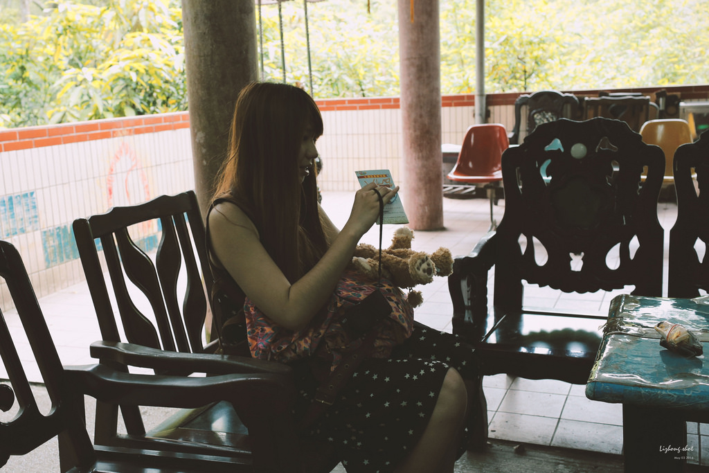 這淡淡的詩意襲上之桐花公園