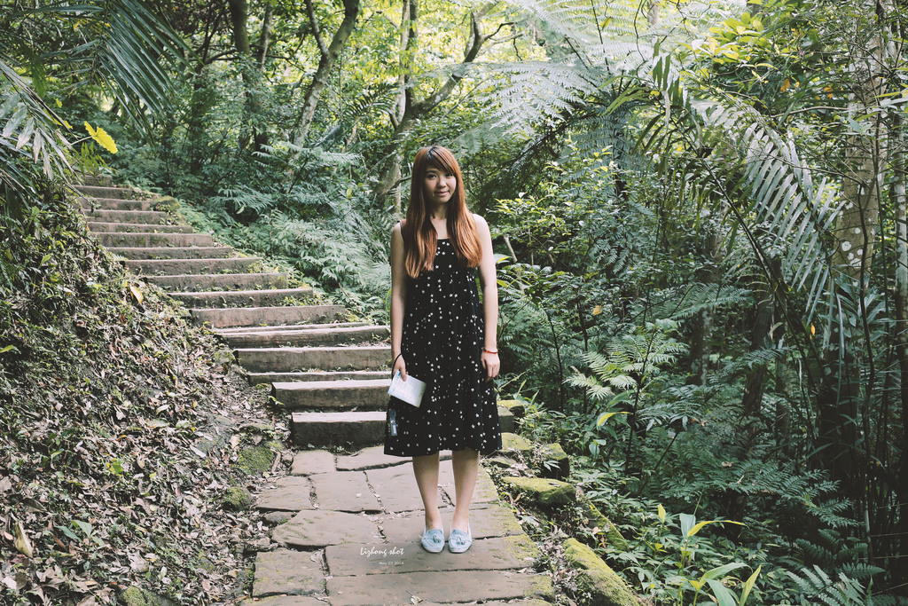 這淡淡的詩意襲上之桐花公園