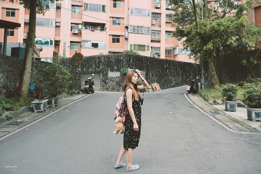 這淡淡的詩意襲上之桐花公園