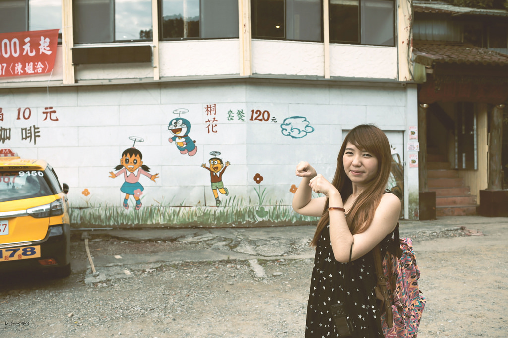 這淡淡的詩意襲上之桐花公園