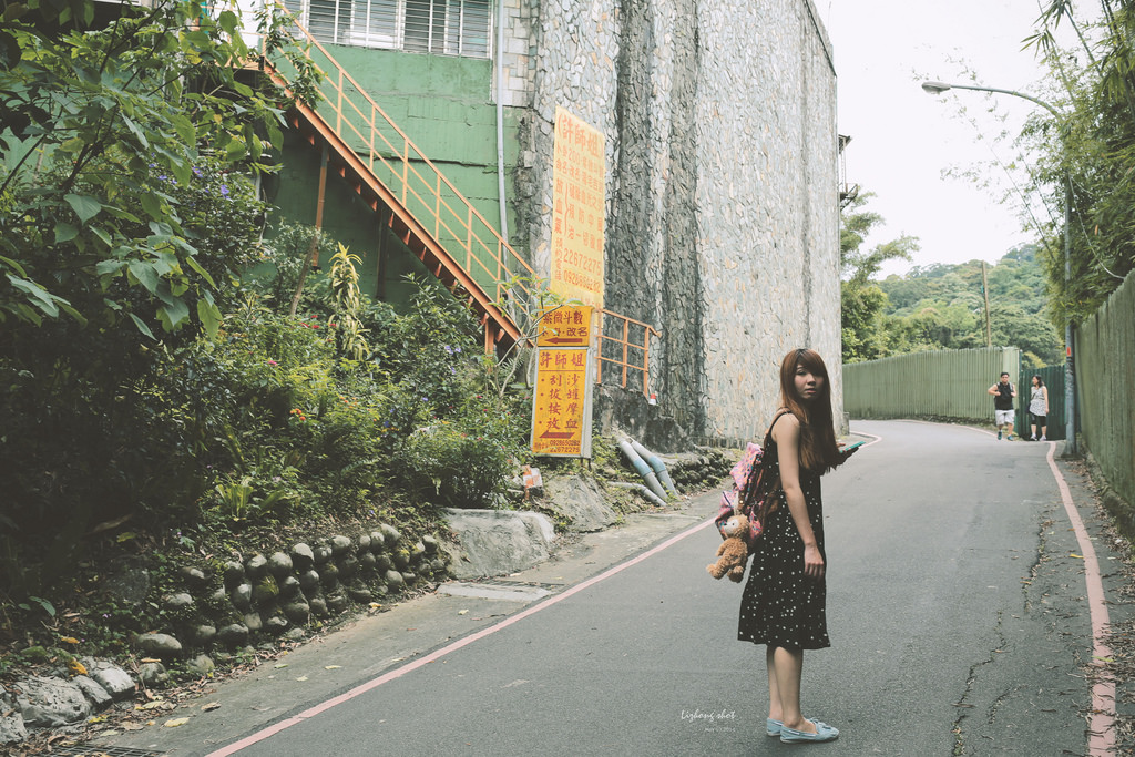 這淡淡的詩意襲上之桐花公園