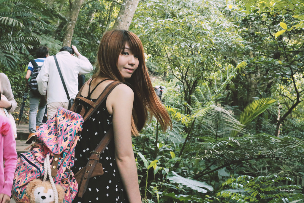 這淡淡的詩意襲上之桐花公園