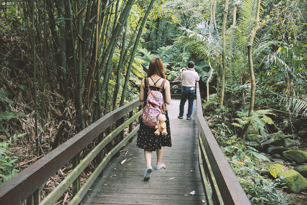 這淡淡的詩意襲上之桐花公園